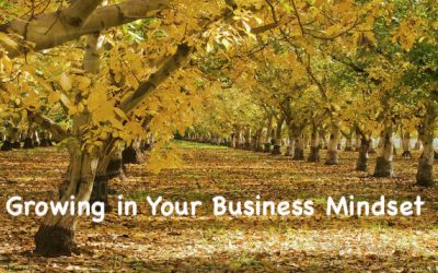 Growing Walnuts and Your Business