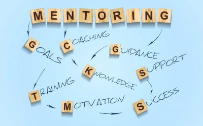 Is a  Mentor Needed?