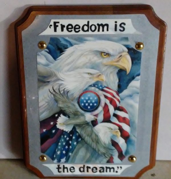 Freedom Is The Dream Wall Art