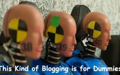 This Kind Of Blogging Is For Dummies, Bob Bly